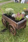 Pflanzen eingetopft in Beet